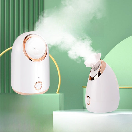 Facial steamer